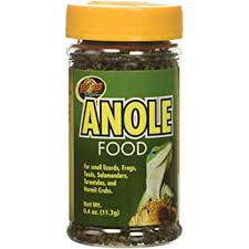 Anole Food