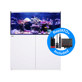 Red Sea Reefer G2+ 350 - White