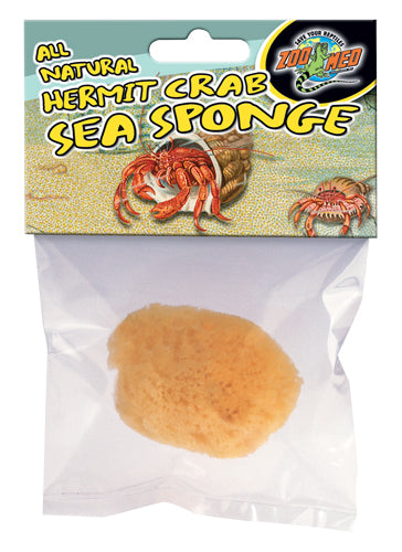 Zoo Med hermit crab sea sponge