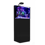 Red Sea Max Nano Cube with ReefLED 50 - Black