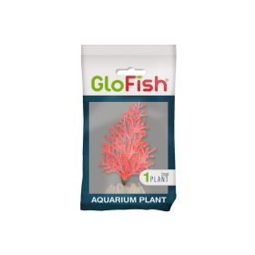 GloFish Plant Small Orange