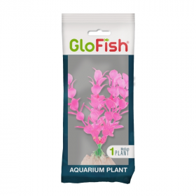 GloFish Plant Medium Pink