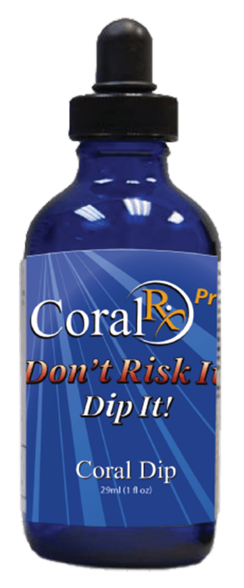 Coral Rx Coral Dip 1 oz