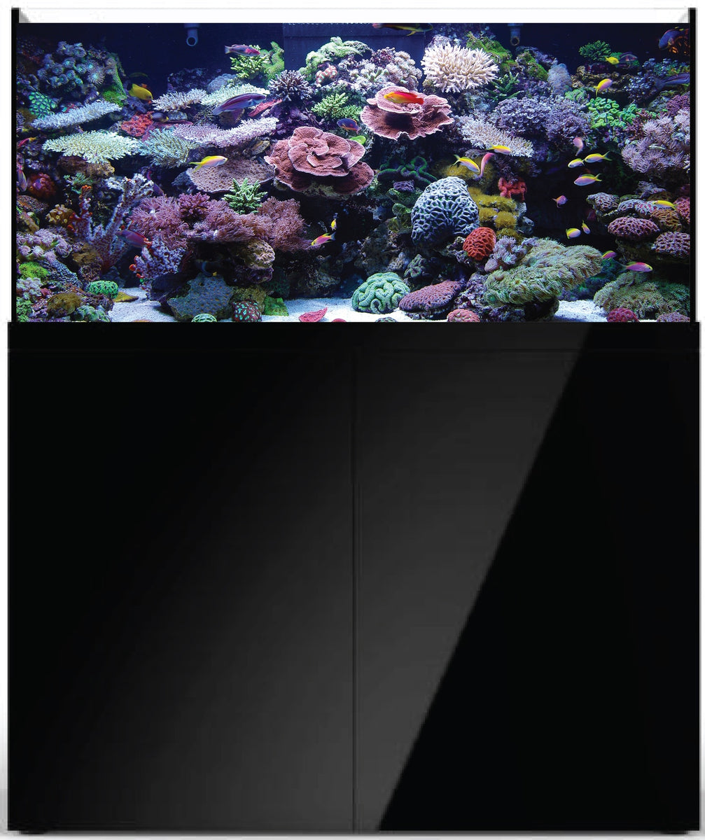 Prostar Rimless Aquarium - 90 gal - Black – Total Aquatics Inc.