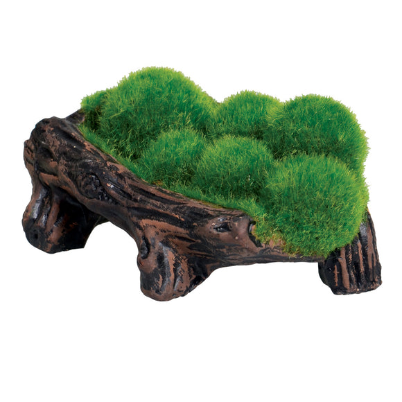 Mossy Log Cave with Airstone