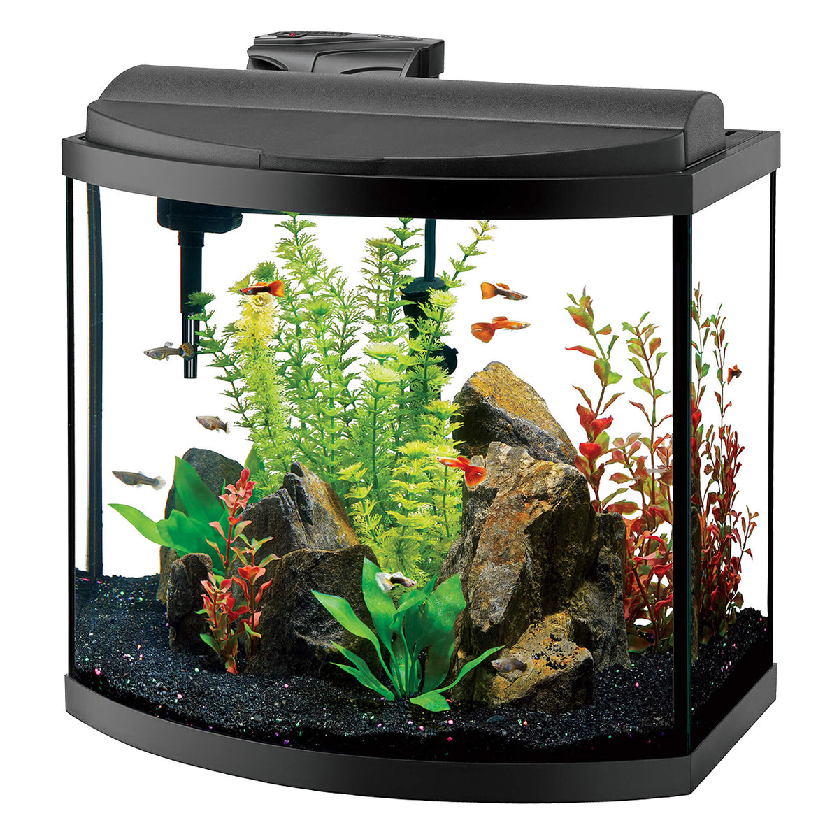 Deluxe LED Bow Front Aquarium Kit - 16 gal – Total Aquatics Inc.