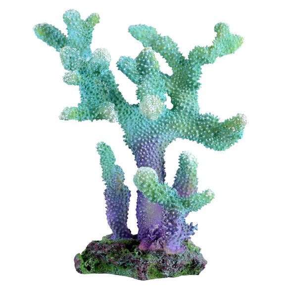 Branch Coral - Aqua