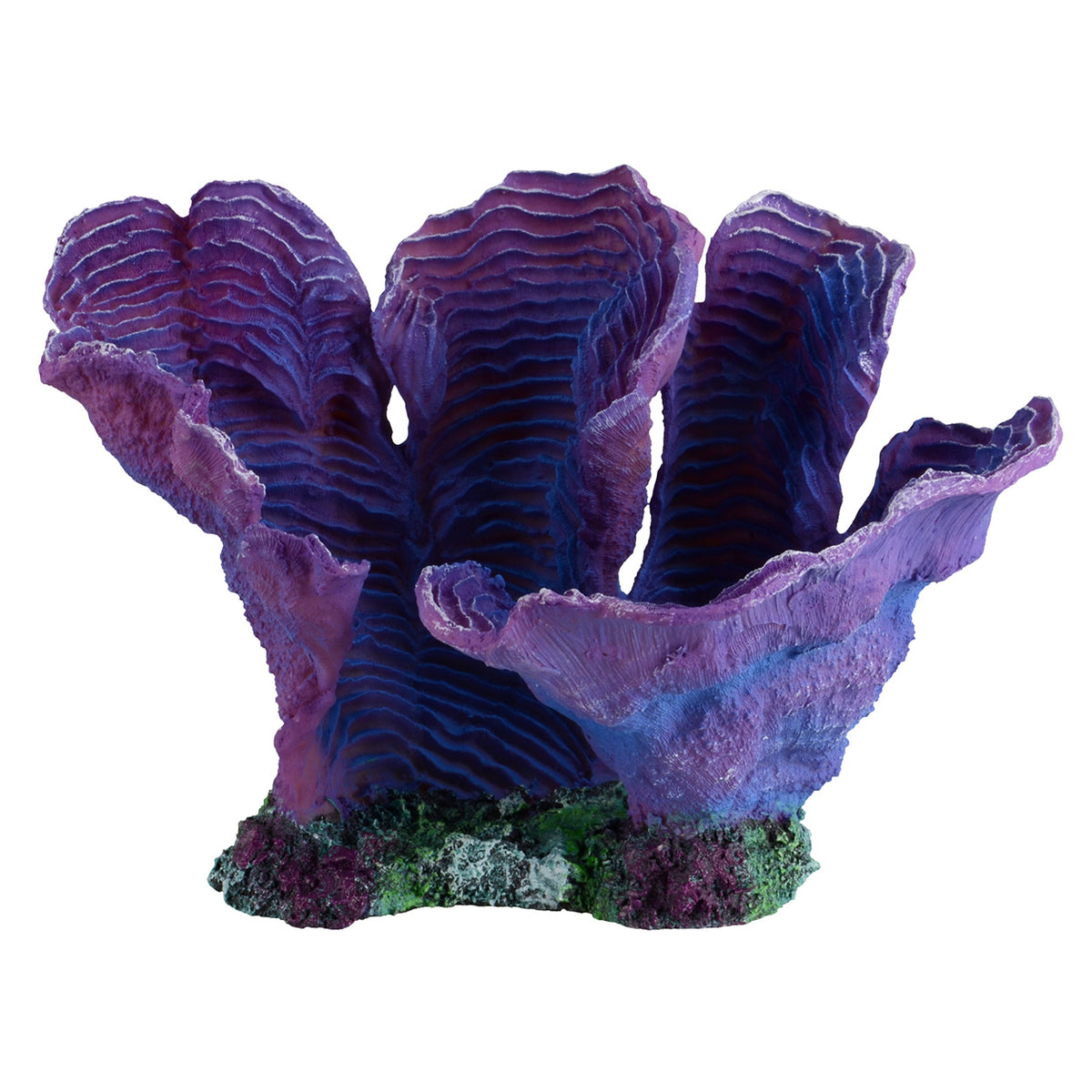 Aquaforest Carbon – Candy Corals