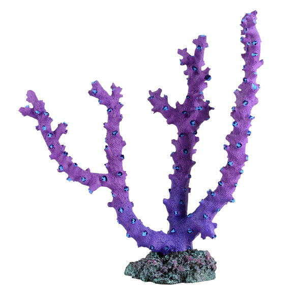 Octo Coral - Purple - Large