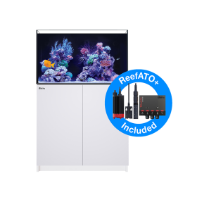 Red Sea Reefer G2+ 250 - White