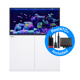 Red Sea Reefer S-550 G2+ - White