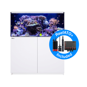 Red Sea Reefer G2+ XL-425 - White