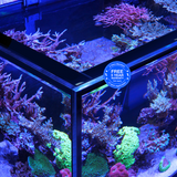 Red Sea Reefer S-550 G3 - White