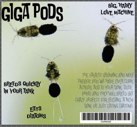 Giga Pods 8oz