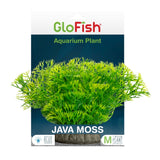 GloFish Plant Java Moss