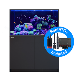 Red Sea Reefer S-550 G2+ - Black