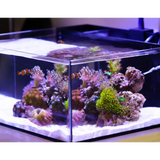 Reef Casa Tide 12 Gallon Aquarium