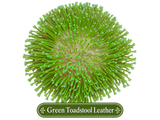 Neon Green Toadstool Leather