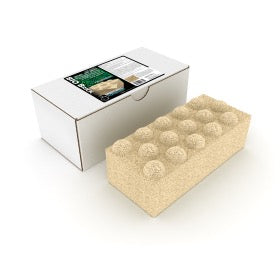 Brightwell Xport BIO Brick 9