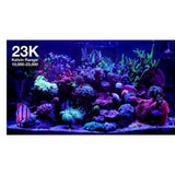 Red Sea ReefLED G2 170