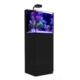 Red Sea Max Nano Cube with ReefLED 50 - Black