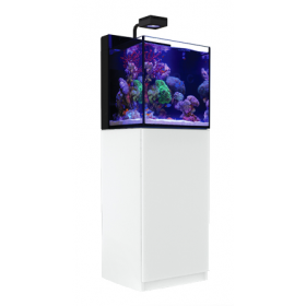 Red Sea Max Nano Cube with ReefLED 50 - White