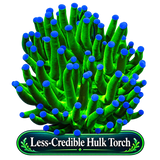 The Less-Credible Hulk Torch
