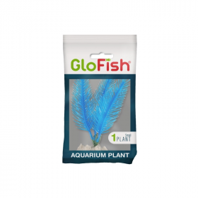 GloFish Plant Small Blue