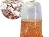 Live Adult Brine Shrimp