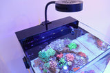 Reef Casa Filtration Cover Flat 6