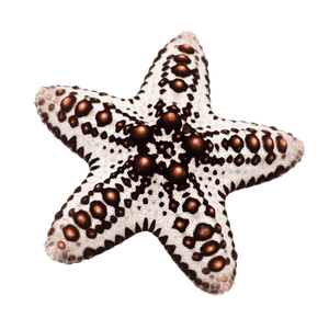 Caramel McFlurry Chocolate Chip Starfish