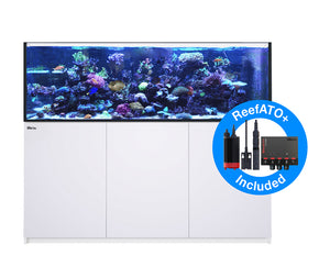 Red Sea Reefer G2+ XXL 750 - White