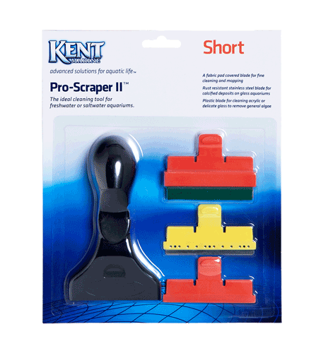 Kent Marine Pro Scraper II Short