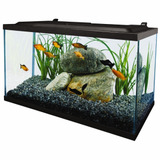 Tetra Complete LED Aquarium Kit 10g