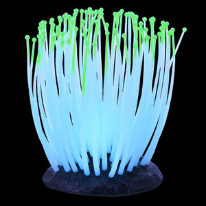 Glowing Anemone - Green - Small