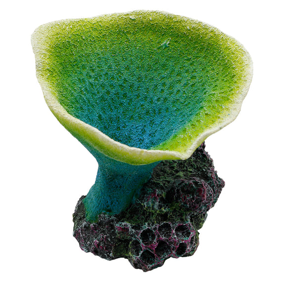 Elephant Ear Coral - Green