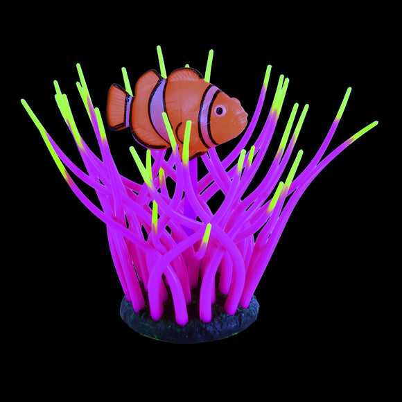 Glow Action Bubbling Clownfish in Anemone - Rose