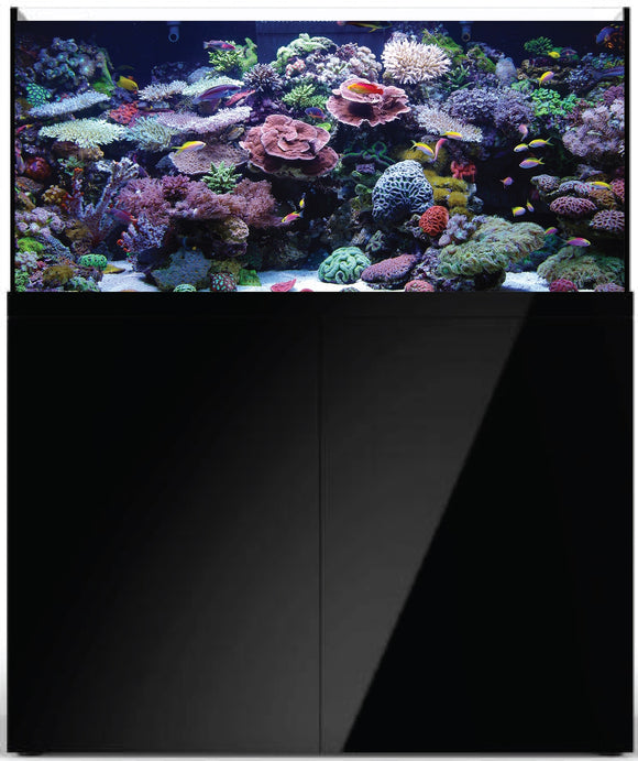Prostar Rimless Aquarium - 90 gal - Black