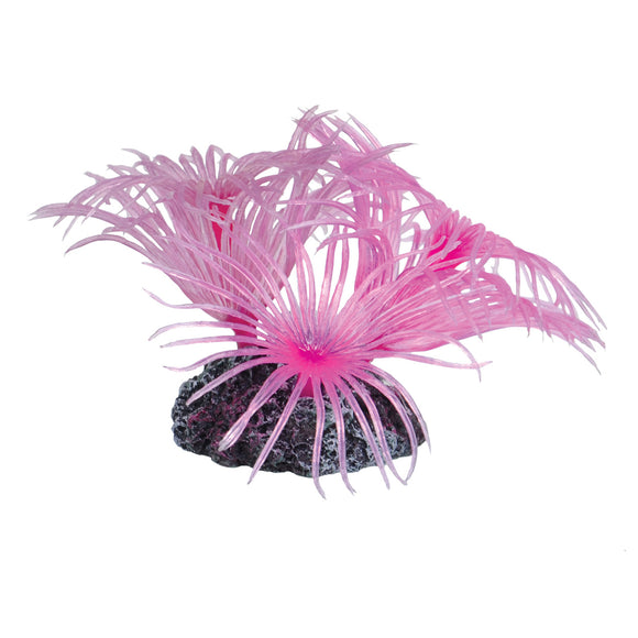 Feather Duster - Pink