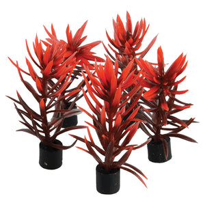 Mini Plant - Red and Brown - 3" - 5 pk