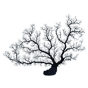 Sea Fan Coral - Black