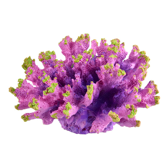 Aussie Branch Coral - Purple – Total Aquatics Inc.