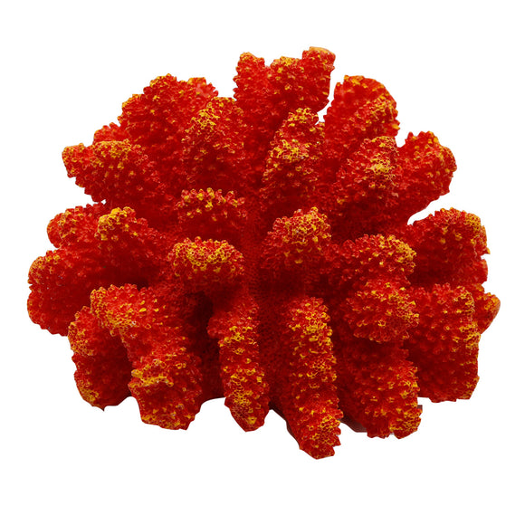Polyped Coral - Red