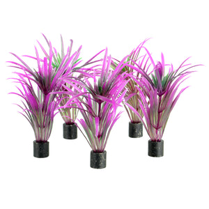 Mini Plant - Purple Grass - 3" - 5 pk