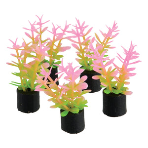 Mini Plant - Pink and Green - 1.5" - 5 pk