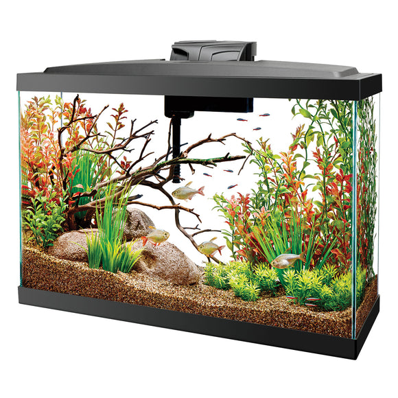 Aqueon LED Widescreen Aquarium Kit - 13 gal