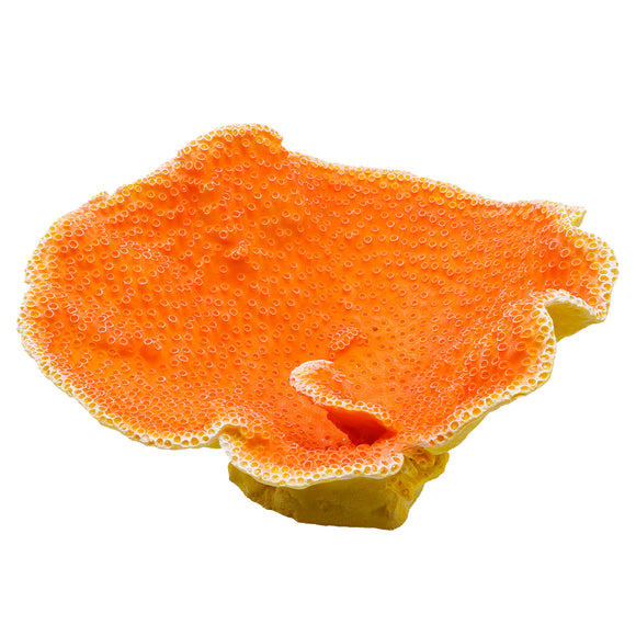 Dinner Plate Coral - Orange