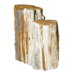 Feller Stone Petrified Wood - 55 lb (Box)