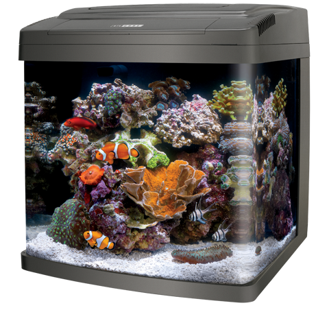 Coralife LED BioCube - 32 gal