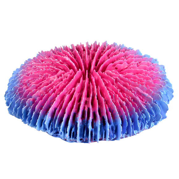 Plate Coral - Pink - Small